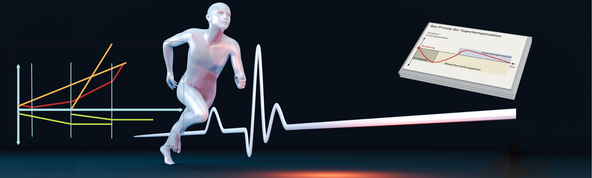 ILSA - Integrated Lactate Shuttle Assessment